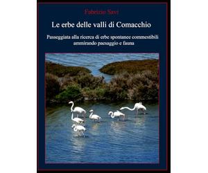 Le erbe delle valli di Comacchio: Passeggiata alla ricerca di erbe spontanee commestibili ammirando paesaggio e fauna