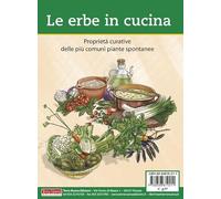 Le erbe in cucina. Proprietà curative delle più comuni piante spontanee