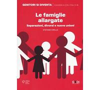 Le famiglie allargate. Separazioni, divorzi e nuove unioni