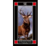 Le foreste del Maine. Chesuncook – Stellfeld & Ernst