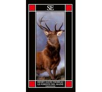 Le foreste del Maine. Chesuncook – Stellfeld & Ernst