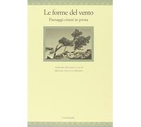 Le forme del vento. Paesaggi cinesi in prosa