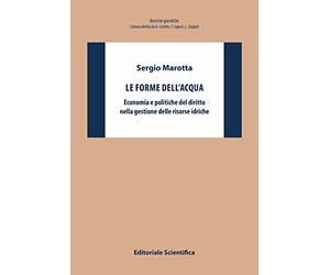 Le forme dell'acqua. Economia e politiche del diritto nella gestione delle risorse idriche