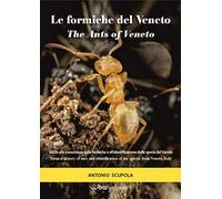 Le formiche del Veneto. Guida al riconoscimento delle specie con note di m...