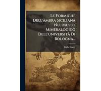 Le Formiche Dell'ambra Siciliana Nel Museo Mineralogico Dell'universitÃ Di Bologna...