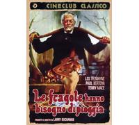 Le Fragole Hanno Bisogno Di Pioggia