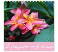 Le frangipanier au fil des mois (Calendrier mural carré 2026 30 x 60 cm (ouvert)) Calendrier double avec une page pour vos prises de notes