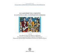 Le garanzie del credito e la tutela del contraente debole