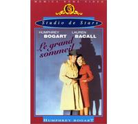Le grand sommeil