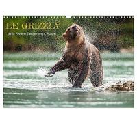 LE GRIZZLY de la Rivière Tatshenshini. Yukon (Calendrier mural 2026 DIN A3 vertical), CALVENDO calendrier mensuel: 13 photos de l'ours grizzly