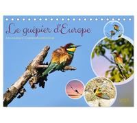 Le guêpier d'Europe (Calendrier de bureau 2027 DIN A5 vertical), CALVENDO calendrier mensuel: Les couleurs vivantes du ciel estival