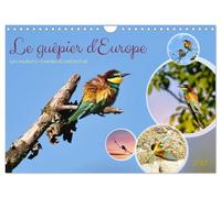 Le guêpier d'Europe (Calendrier mural 2027 DIN A4 vertical), CALVENDO calendrier mensuel: Les couleurs vivantes du ciel estival