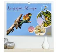 Le guêpier d'Europe (Calendrier mural haut de gamme 2027 DIN A2 vertical), CALVENDO calendrier mensuel: Les couleurs vivantes du ciel estival