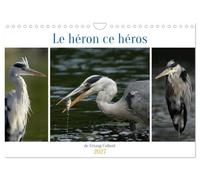 Le héron ce héros de l'étang Colbert (Calendrier mural 2027 DIN A4 vertical), CALVENDO calendrier mensuel: L'activité du héron cendré au bord d'un étang.