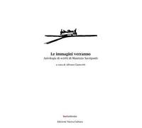 Le immagini verranno. Antologia di scritti di Maurizio Sacripanti