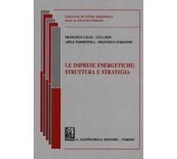 Le imprese energetiche. Struttura e strategia