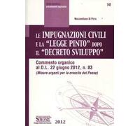 Le impugnazioni civili e la «legge Pinto» dopo il «decreto sviluppo»