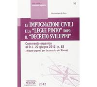 Le impugnazioni civili e la «legge Pinto» dopo il «decreto sviluppo»