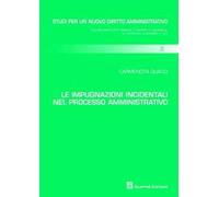 Le impugnazioni incidentali nel processo amministrativo