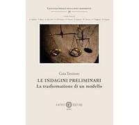 Le indagini preliminari. La trasformazione di un modello