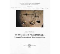 Le indagini preliminari. La trasformazione di un modello