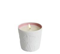 Le Jardin Retrouve Rose Trocadero 190 gr Candela