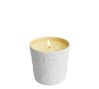 Le Jardin Retrouve Tubereuse Trianon 190 gr Candela