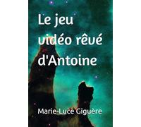 Le jeu vidéo rêvé d'Antoine