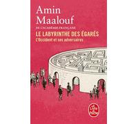 Le labyrinthe des égarés: L'Occident et ses adversaires