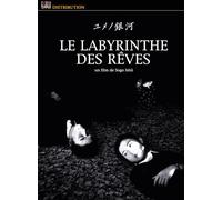 Le Labyrinthe des rêves