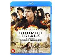 Le Labyrinthe : La Terre Brûlée