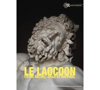 Le Laocoon entre Michel-Ange et Raphaël: Un ressort de l'émulation