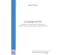 Le Lignage et le fief [Lingua francese]: L'affirmation du milieu comtal et la construction des états féodaux sous les Angevins de Naples (1265-1435)
