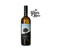 LE MACCHIOLE PALEO BIANCO 2022 VINO BIANCO BOLGHERI TOSCANA IGT