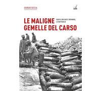 Le maligne gemelle del Carso. Quote 208 Sud e 208 Nord, le battaglie - Sec...