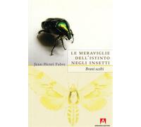 Le meraviglie dell'istinto negli insetti - Fabre Jean-Henri