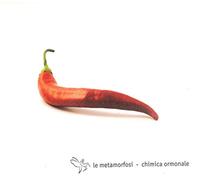 le metamorfosi - Le Metamorfosi - chimica ormonale