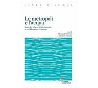 Le metropoli e l'acqua. Strategie urbane di adattamento al cambiamento climatico