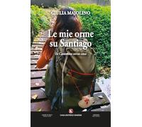 Le mie orme su Santiago. In cammino verso casa