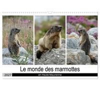 Le monde des marmottes en Haute Maurienne (Calendrier mural 2027 DIN A3 vertical