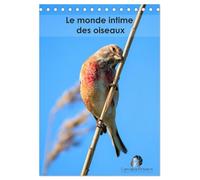 Le monde intime des oiseaux (Calendrier de bureau 2026 DIN A5 horizontal), CALVENDO calendrier mensuel: Un calendrier élégant qui vous ouvre les ... grâce et leurs instants les plus secrets.