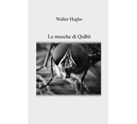 Le mosche di QuBit