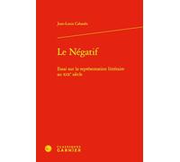 Le négatif: Essai sur la représentation littéraires au XIXe siècle