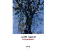 Le non parole - Stanescu Nichita