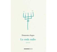 Le onde radio