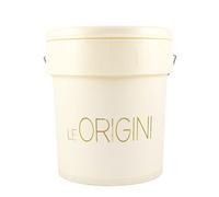 Le origini Giorgio Graesan