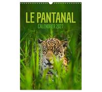Le Pantanal (Calendrier mural 2027 DIN A3 horizontal), CALVENDO calendrier mensu