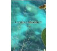 Le parole immaginate