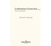 Le phénomène et l'entre-deux: Pour une métaxologie
