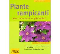 Le piante rampicanti per terrazzi e giardini